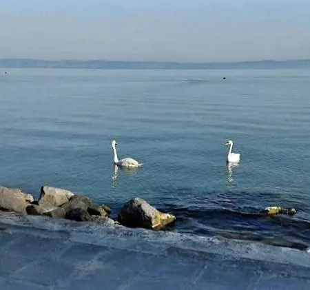Aranyparton Harom Szobas Apartman Apartment Siofok